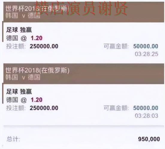 实测对比世界杯投注入口：从平台排行到使用全流程解析 - 世界杯数据